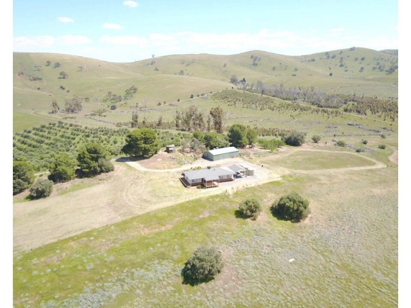 78 Wehrmann Road, Bundaleer Gardens SA 5491