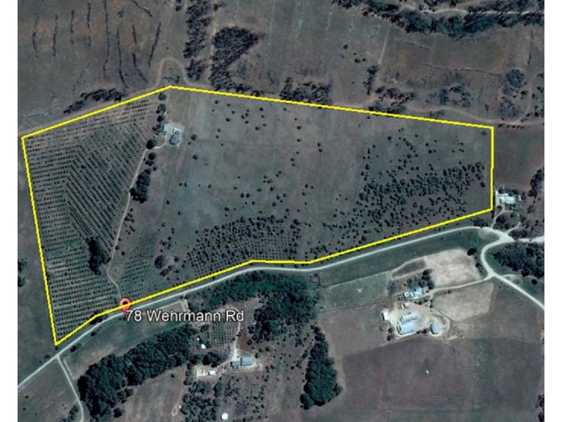 78 Wehrmann Road, Bundaleer Gardens SA 5491