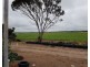 28 Ardrossan Road, Maitland SA 5573
