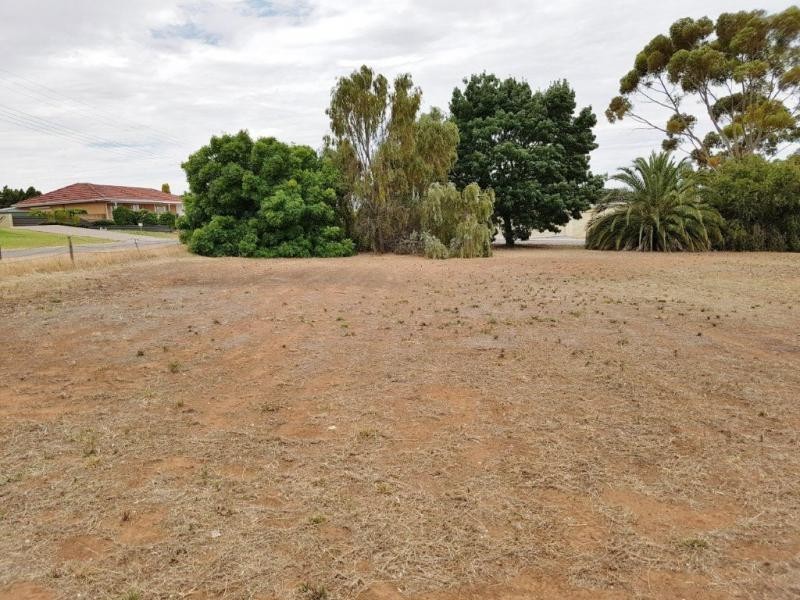 33 Belmont Crescent & 6 Catherine Avenue, Maitland SA 5573