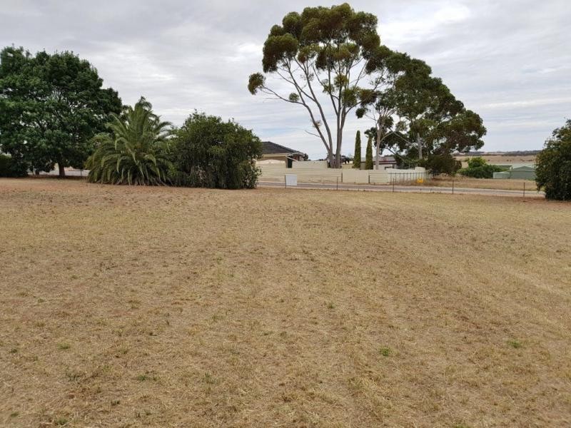 33 Belmont Crescent & 6 Catherine Avenue, Maitland SA 5573