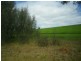219 Watts Range Road, Gulnare SA 5471