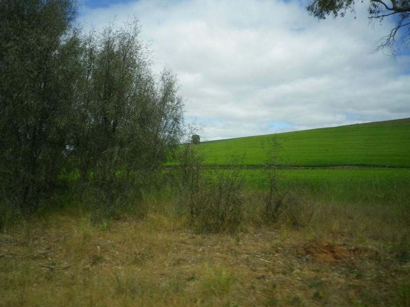 219 Watts Range Road, Gulnare SA 5471