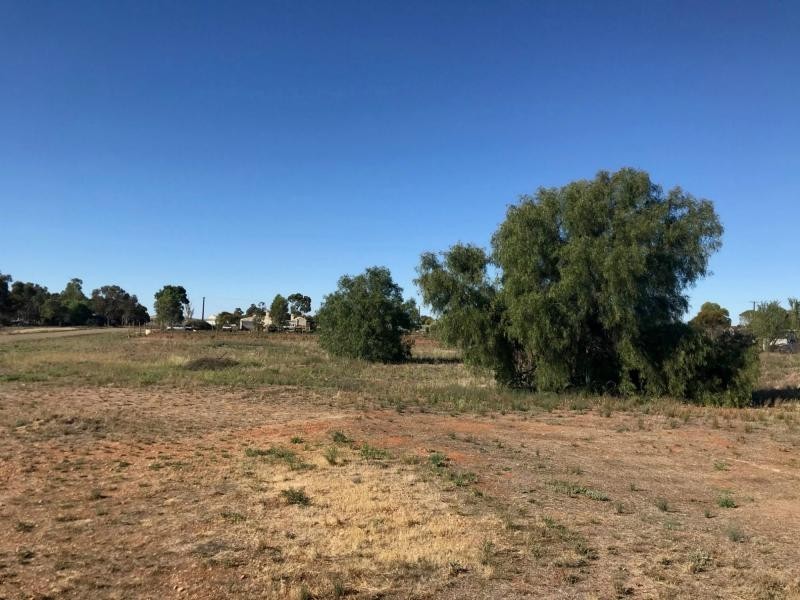 L173 & 174 Mitchell Street, Terowie SA 5421