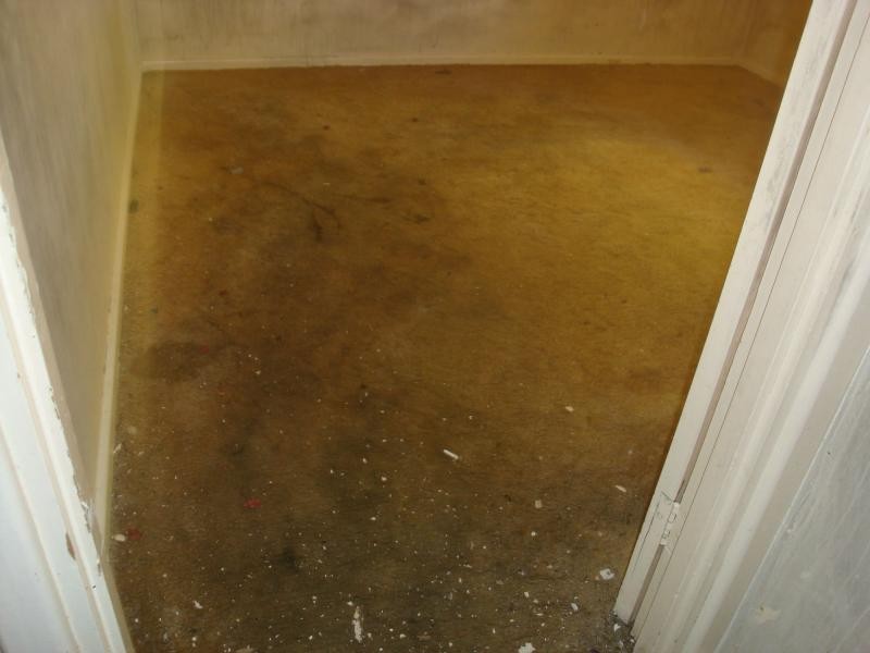 155 Kingston Road, Risdon Park South SA 5540