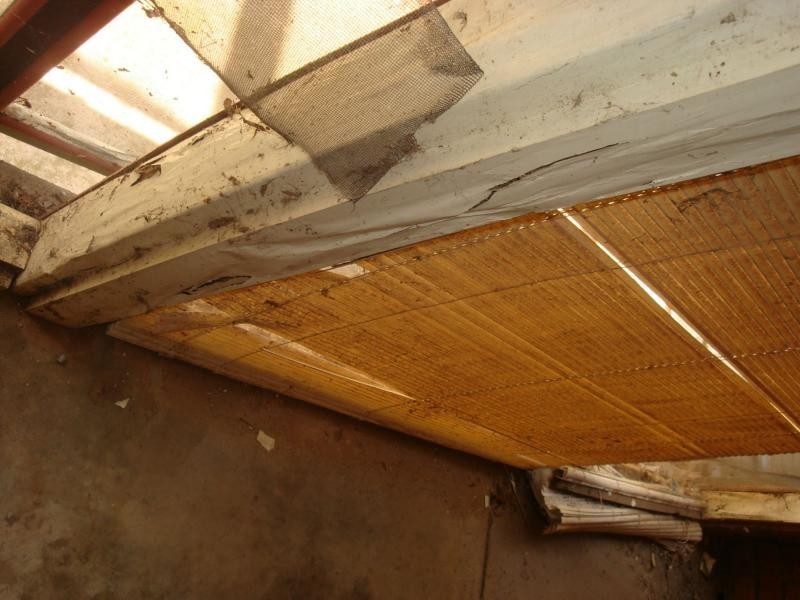 155 Kingston Road, Risdon Park South SA 5540