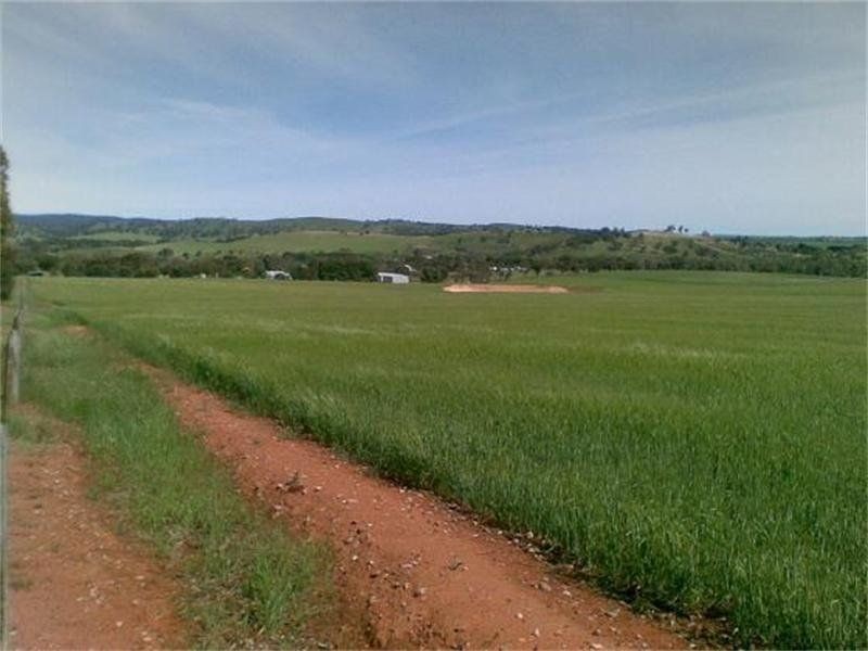 Lot 295 Public Road, Wirrabara SA 5481