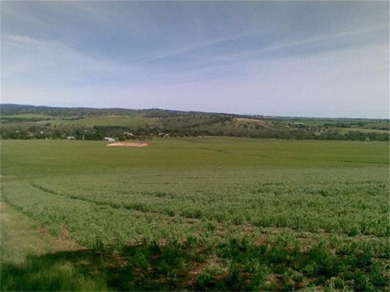 Lot 295 Public Road, Wirrabara SA 5481