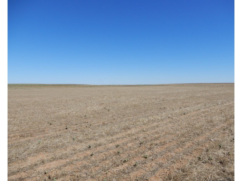 * Willow Swamp Road, Lower Broughton SA 5522