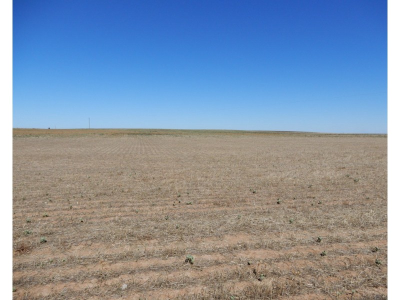 * Willow Swamp Road, Lower Broughton SA 5522