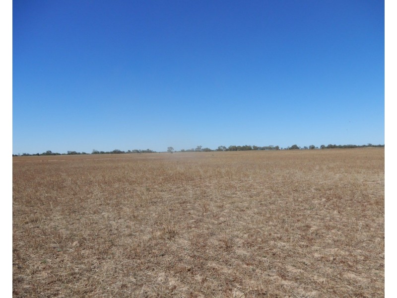 * Willow Swamp Road, Lower Broughton SA 5522