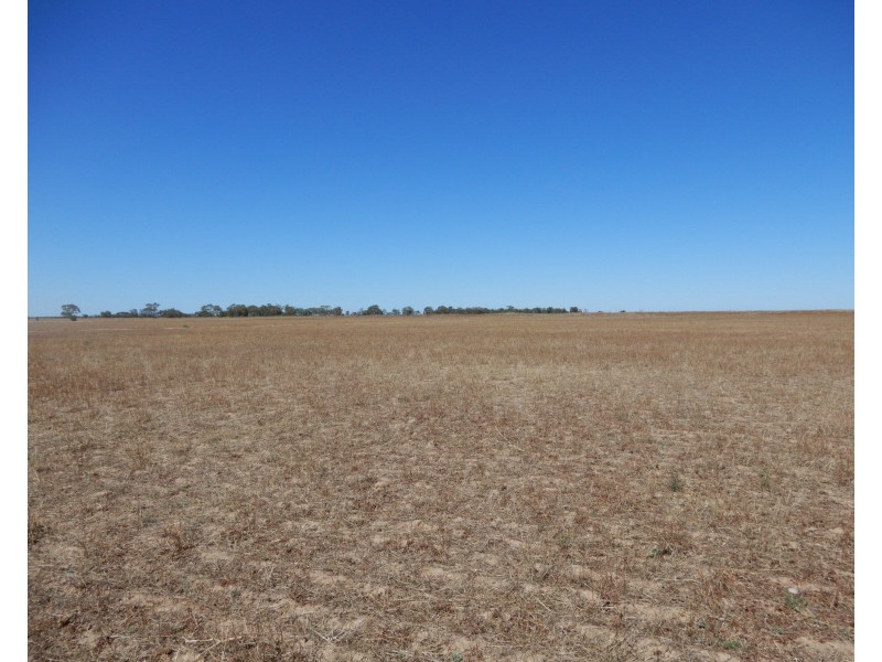 * Willow Swamp Road, Lower Broughton SA 5522