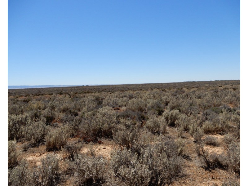 * Willow Swamp Road, Lower Broughton SA 5522