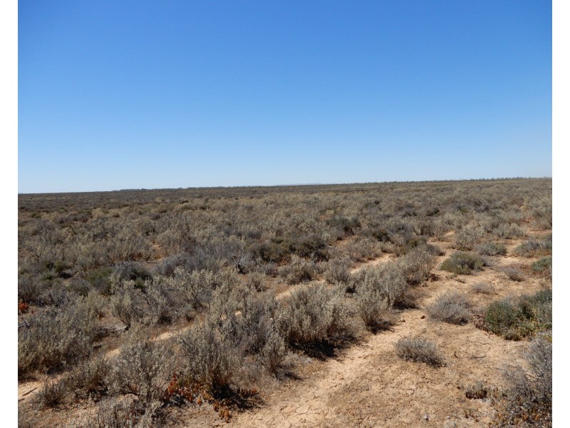 * Willow Swamp Road, Lower Broughton SA 5522