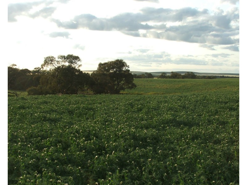 * Old School House Road, Merriton SA 5523