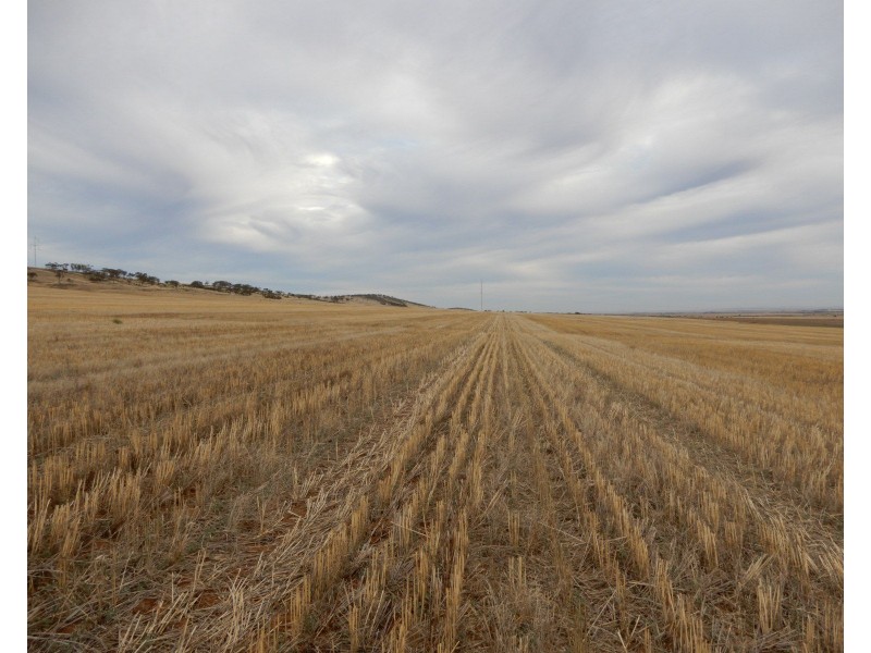 * Atkinson Road, Snowtown SA 5520