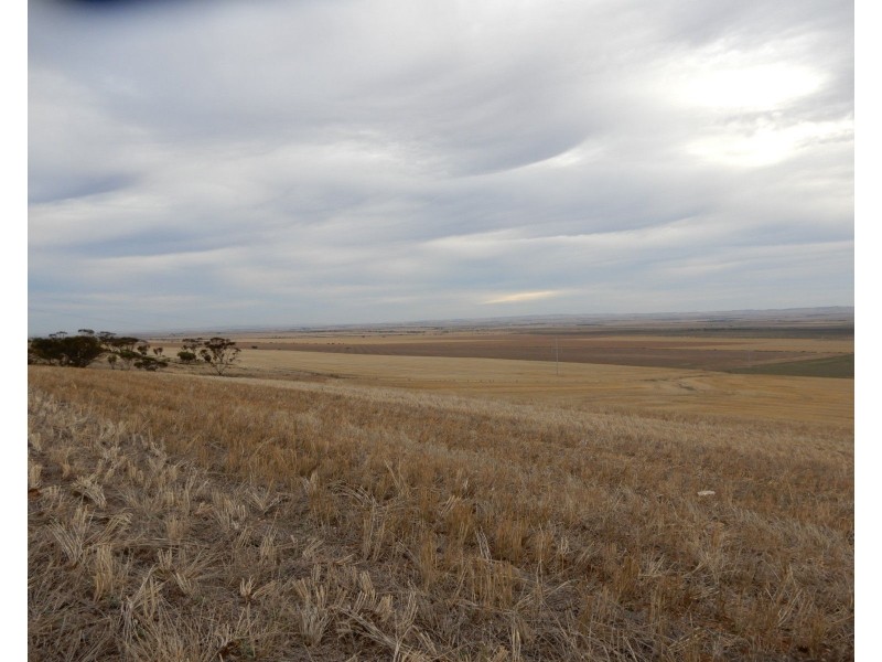 * Atkinson Road, Snowtown SA 5520