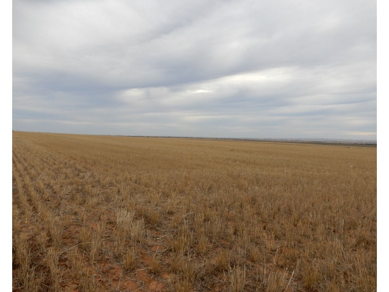 * Atkinson Road, Snowtown SA 5520