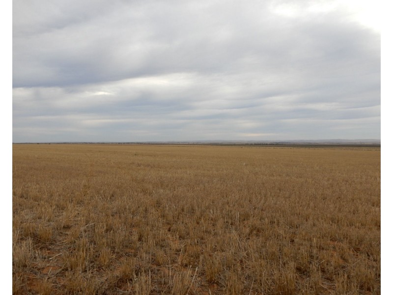 * Atkinson Road, Snowtown SA 5520