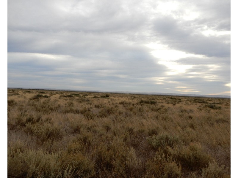 * Atkinson Road, Snowtown SA 5520