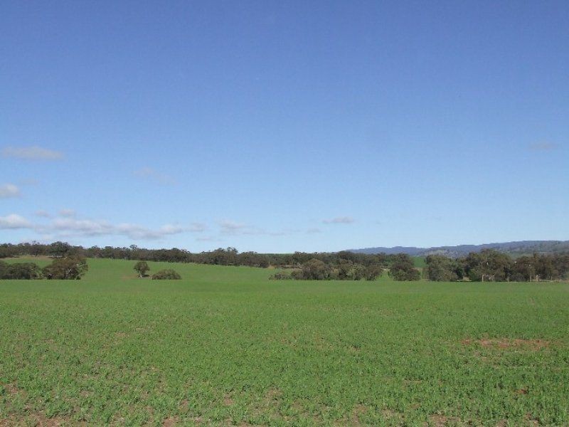 Lot 295-296 Public Road, Wirrabara SA 5481