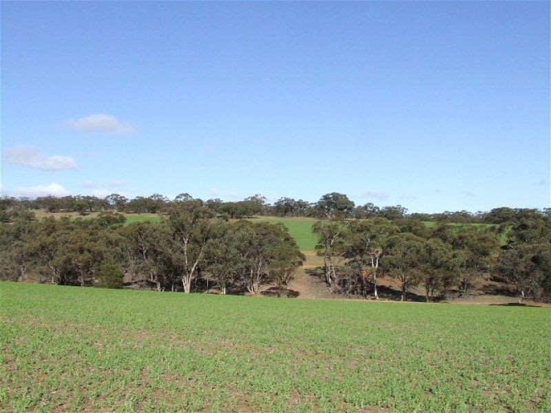 Lot 295-296 Public Road, Wirrabara SA 5481