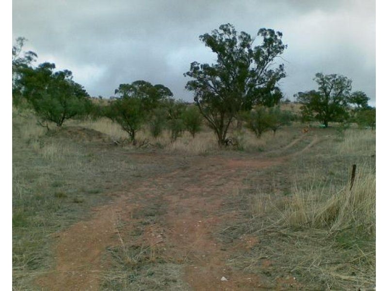 Section 247 Main North Road, Wirrabara SA 5481