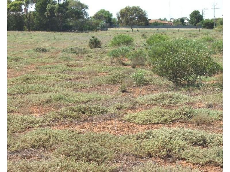 Crystal Brook SA 5523