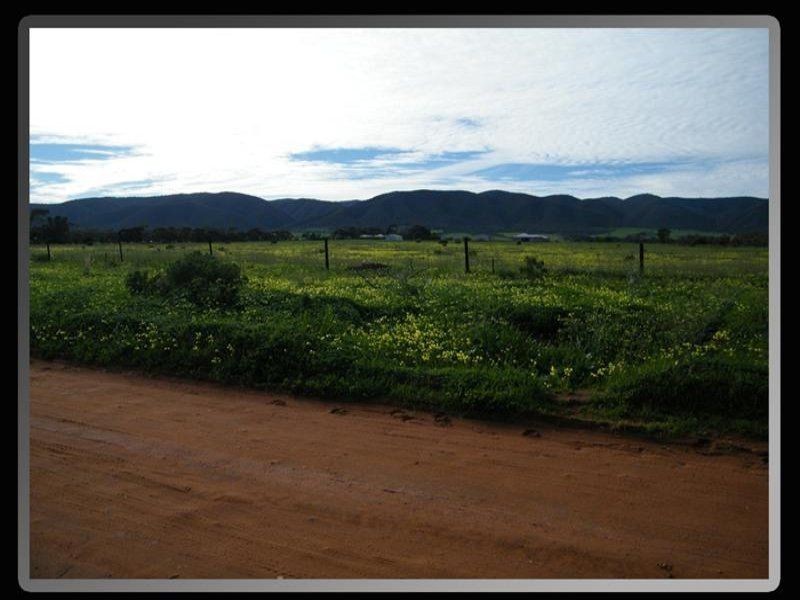Lot 177 Muster Drive, Napperby SA 5540