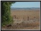 Lot 301 Gladstone – Pirie Road, Gladstone SA 5473