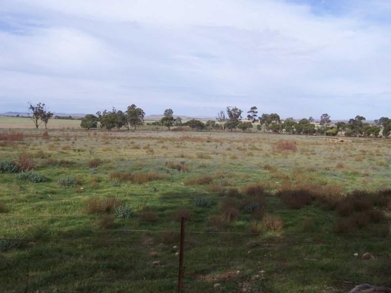 Lot 97 Public Road, Laura SA 5480