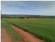L423 Public Road, Wirrabara SA 5481