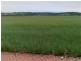 Lot 256 Public Road, Wirrabara SA 5481
