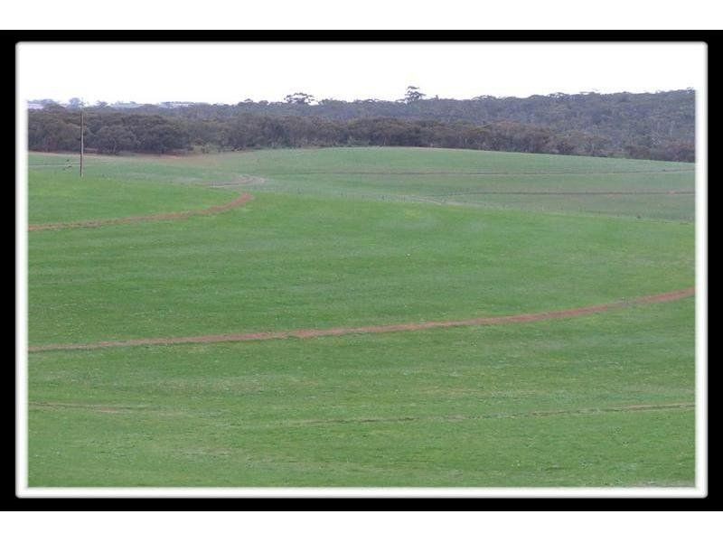 204-205 Public Road, Laura SA 5480