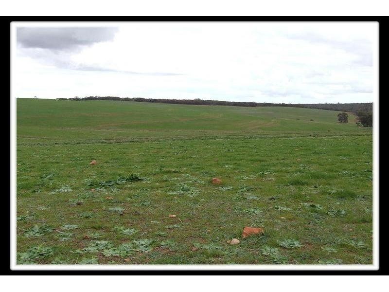 204-205 Public Road, Laura SA 5480