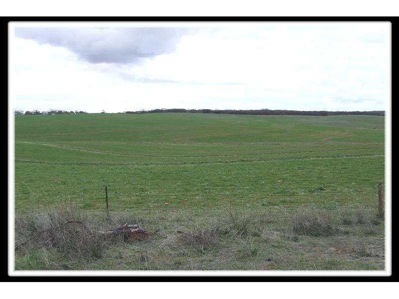 204-205 Public Road, Laura SA 5480