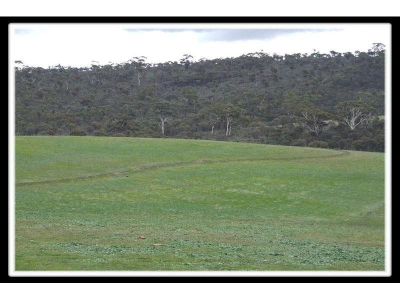 204-205 Public Road, Laura SA 5480