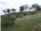 Section 384 Main North Road, Wirrabara SA 5481