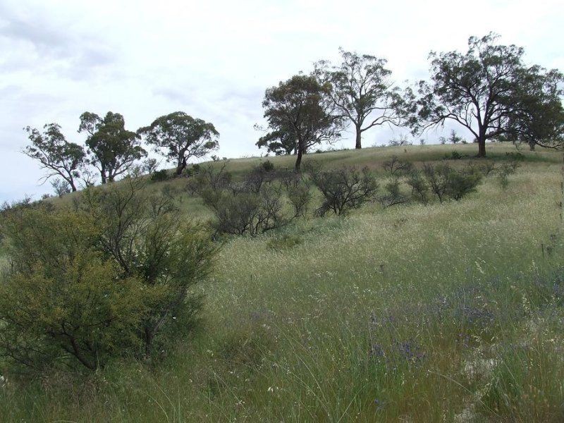 Section 384 Main North Road, Wirrabara SA 5481