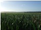Lot 654 Bi Centenary Road, Clements Gap SA 5523
