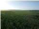 Lot 654 Bi Centenary Road, Clements Gap SA 5523