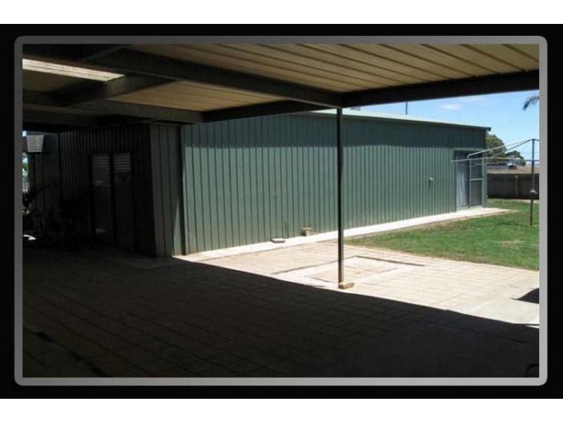 64 Tiddy Avenue, Maitland SA 5573