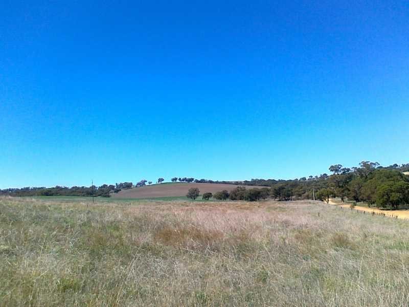 Lot 264 WIRRABARA-APPILA ROAD, Wirrabara SA 5481