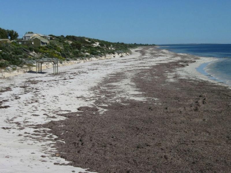 11 High Street, Balgowan SA 5573