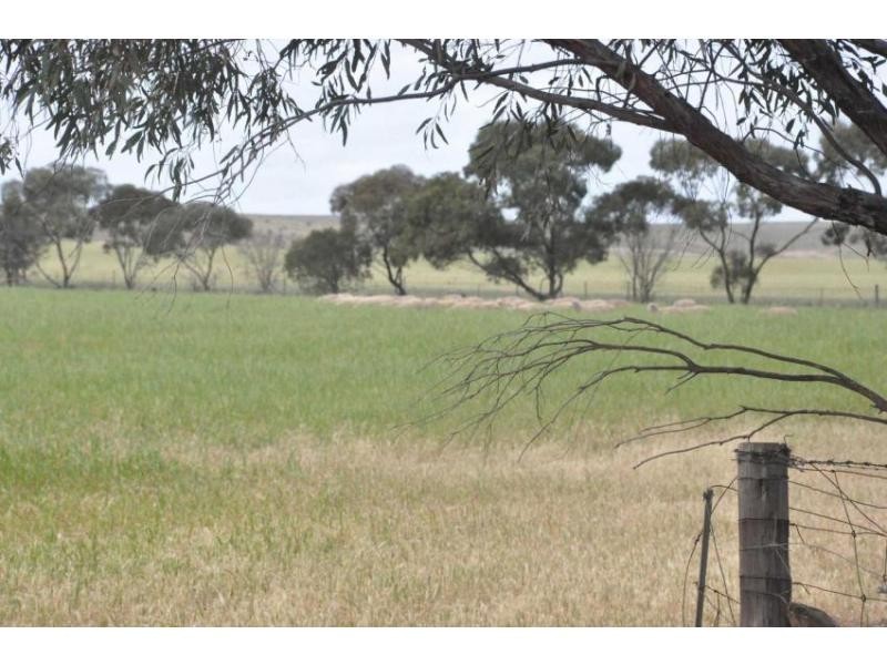L1 Marks Road, Crystal Brook SA 5523