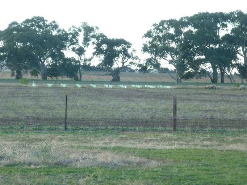 L104 Laura-Beetaloo Road, Laura SA 5480