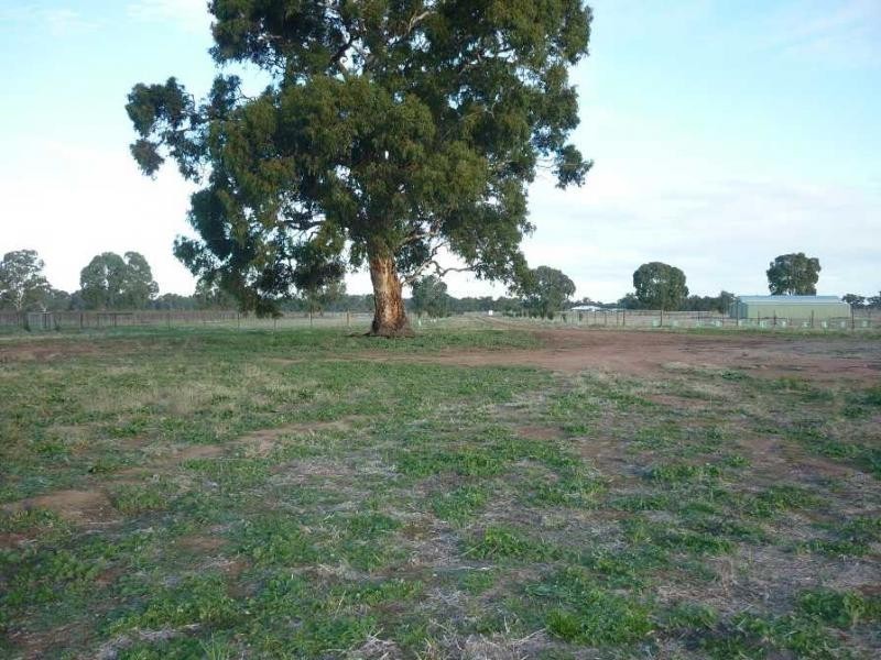 L104 Laura-Beetaloo Road, Laura SA 5480