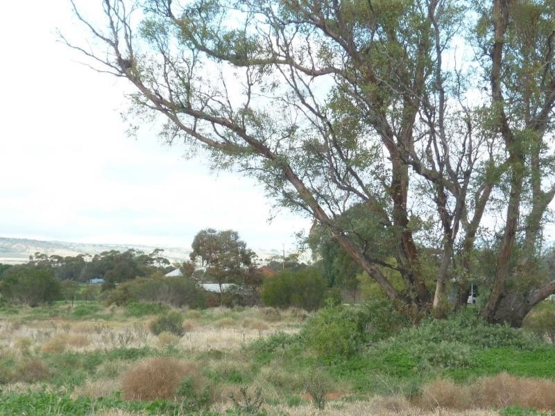 L521 Drovers Road, Warnertown SA 5540