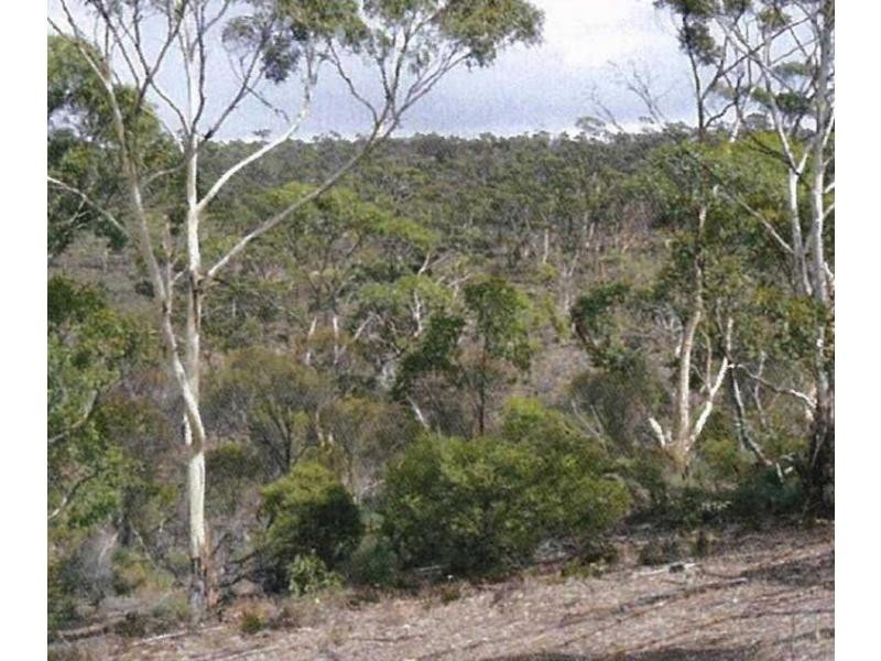 Lot 53 Scenic road, Laura SA 5480