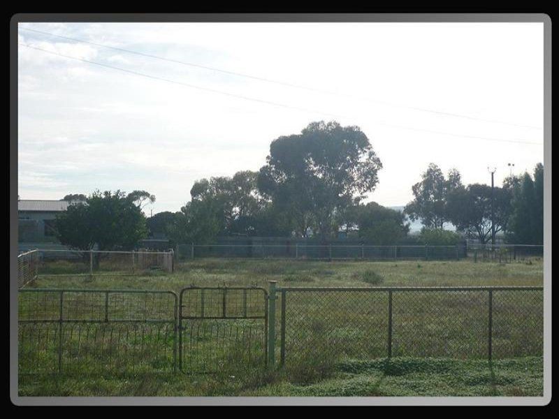283 Warnertown Road, Coonamia SA 5540